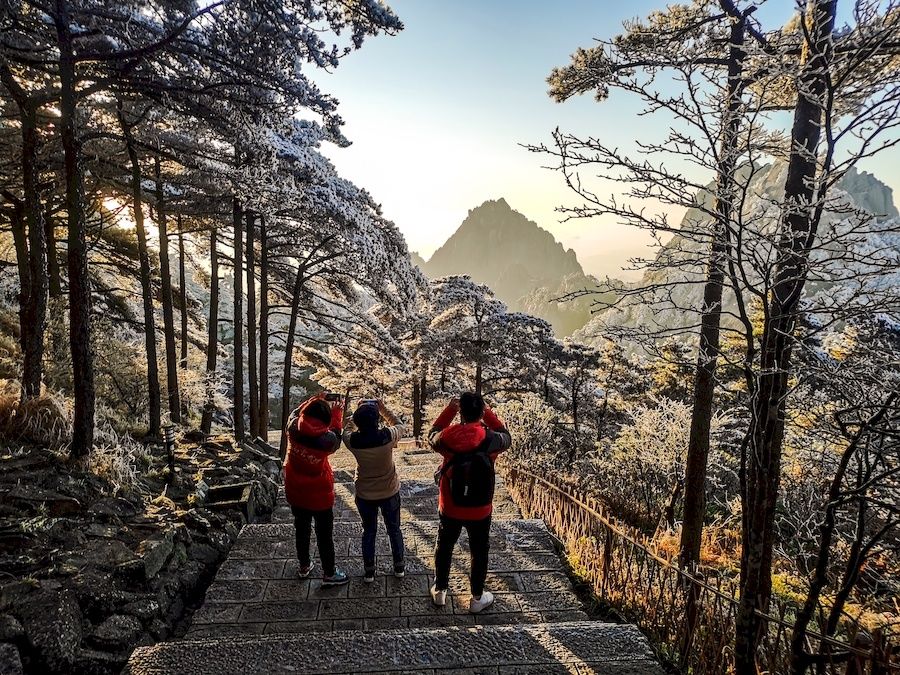 黄山风景区|零下10．3℃ 安徽黄山现大面积雾凇景观