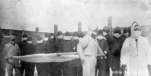 鼠疫|110年前肆虐东北的鼠疫,是如何被消灭的