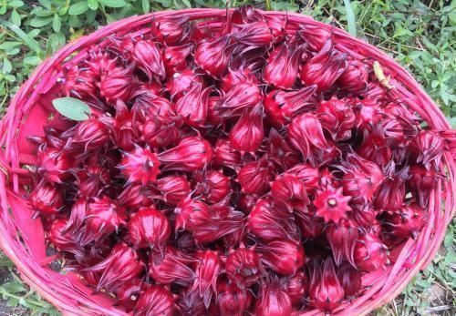 睡眠质量|聪明人喜欢吃3种食物,美白护肤,延缓衰老,早吃早好!