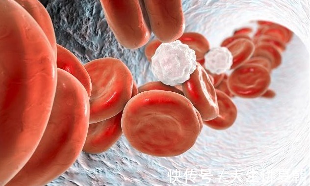 养生|枸杞“这样吃”可能会“招病”！或许该远离枸杞养生误区