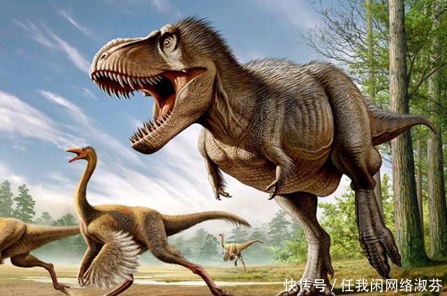 生态平衡 如果人类的体型缩小10倍，还能够成为地球的霸主吗