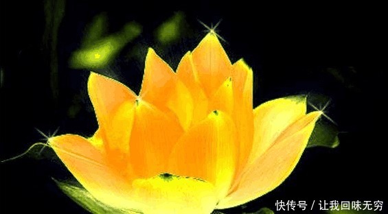  大圣|封神榜5大圣人的坐骑! 第5曾打败燃灯道人! 第2是鸿钧亲自打造