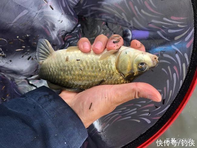 鱼竿|水库钓鱼不光钓位重要，这些更加重要