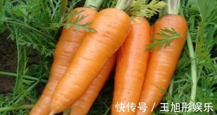 女性|女性不想老太快,多吃此种食物,提神醒脑,延缓衰老,美容养颜