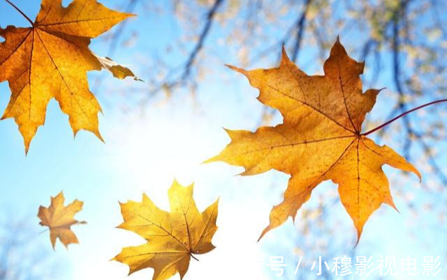 高血压患者|气温骤降,高血压如何预防心脑血管病发作?医生忠告:记住这4点