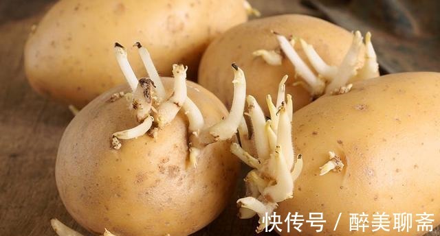 黄曲霉毒素|别扔!这3种食物发芽了不仅没毒,营养价值还翻倍