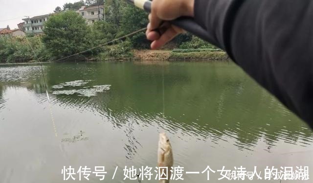 伊势尼|野钓别只用伊势尼!想大小通杀,还是这几种鱼钩效果更好