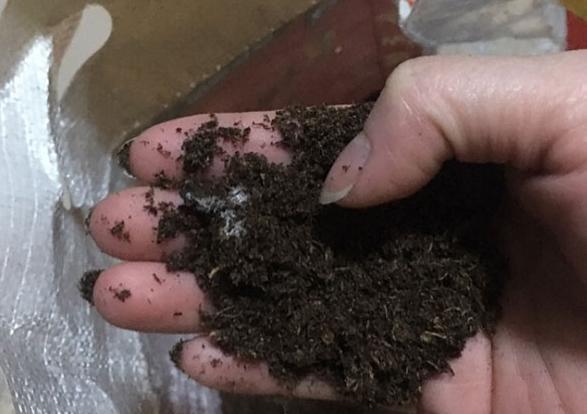 介质|居家盆栽想将旧土转化为新土掺杂进它们，变废为宝！