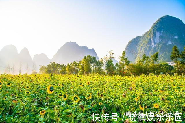 旧州古镇|广西最适合旅拍的古镇，有自带油画滤镜的风景，超级适合拍照！