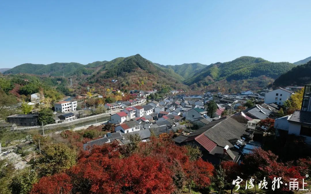 北溪|太绝了！宁波这个山村藏不住了！