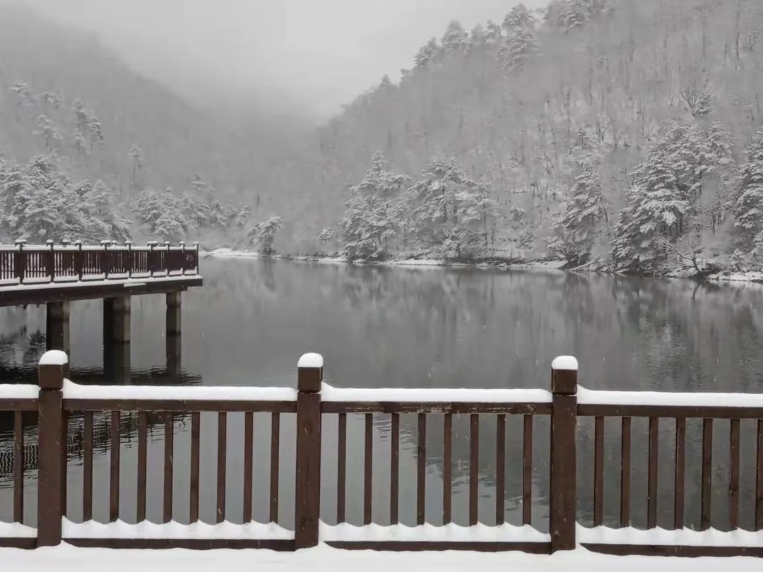 气温|杭州，雪！宁波，雪！绍兴，雪！可能要下到……太刺激了！