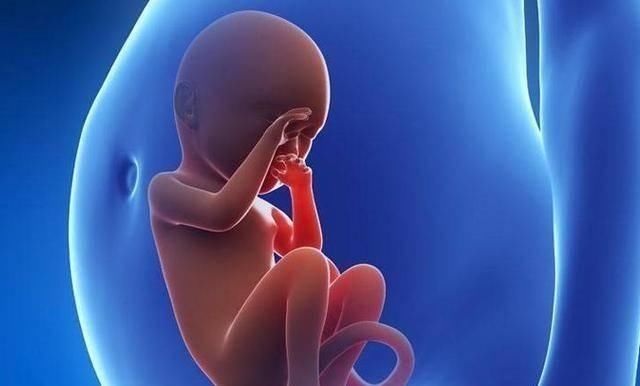 孕妇|孕期喝酒和不喝酒的孕妇，生出的孩子有啥区别？来围观研究结果