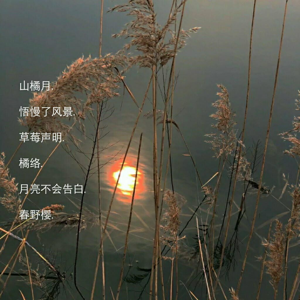 让心动超标的小众网名