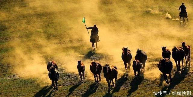 对人类贡献最大的一种动物,没有它,人类的发展不会如此迅速