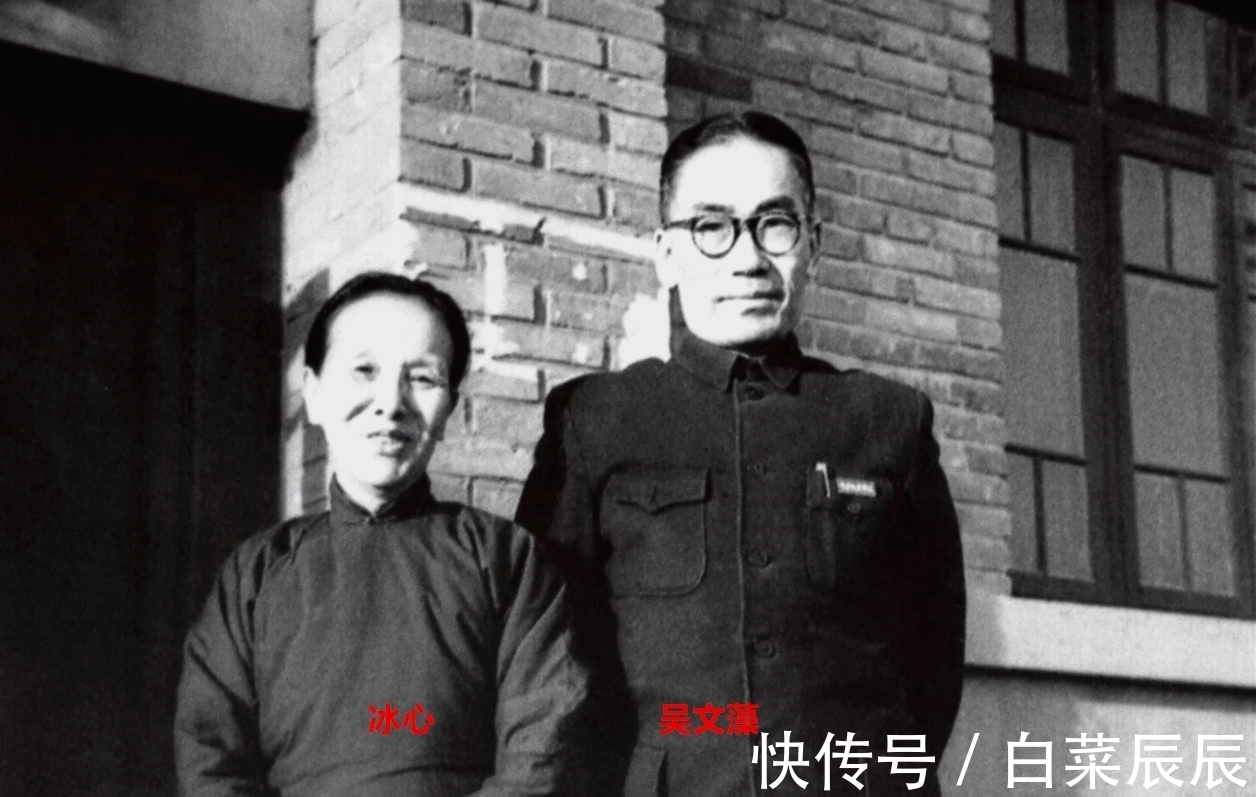 鲁迅$冰心在20世纪文坛的成就不算低，为何鲁迅和林徽因都厌恶她？