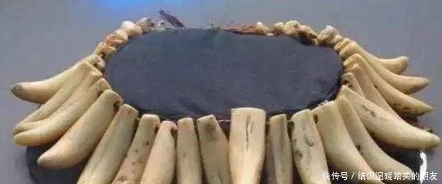 试金石|文玩界的“试金石”