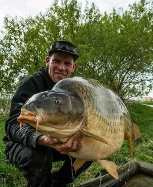 在欧洲钓鲤鱼是一项非常高大上的运动,一套装备要几干欧