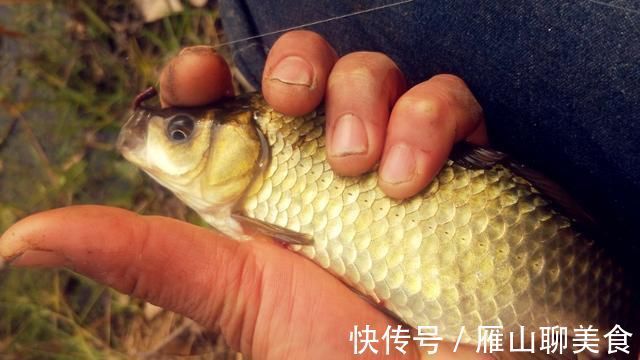 辈子|野钓大半辈子,竟然才知道诱鱼最管用的方法,你尝试过了吗