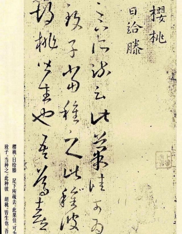 清刚|“书中龙象”王羲之草书《十七帖》全集，宋拓翻墨本