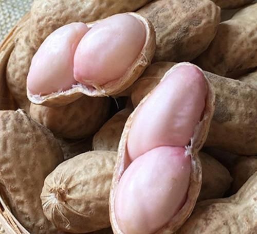 坚持吃花生，这4个好处会缠上你，尤其是孩子和老人要经常吃