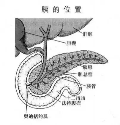 聚会|胡吃海喝小心病从口出，深圳一男子聚会饱餐后急性胰腺炎复发