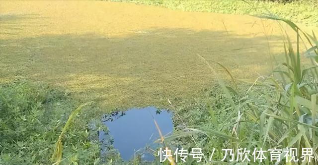 钓鱼|想要钓黑鱼，找到这几个地方，会钓鱼就能钓到黑鱼