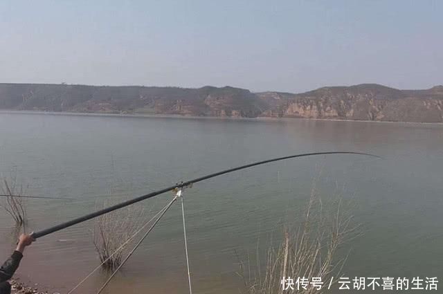 钓不到大鱼的钓友看过来,掌握这套秘籍,钓到大鱼几率会很高