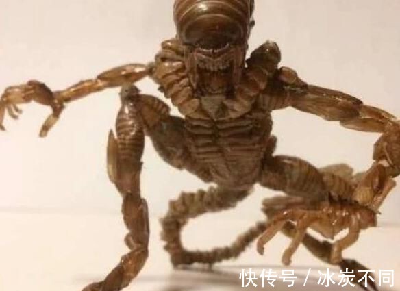 原材料|万物皆可手办,知了做出异形的感觉,小龙虾壳变身恶魔龙