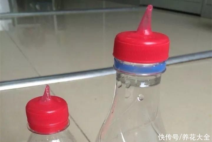 旧筷子、老干妈瓶别扔,拿来养花效果好,省下一笔养花钱