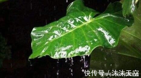 诗词|五首经典听雨诗词，带你倚楼听风雨，淡看江湖路