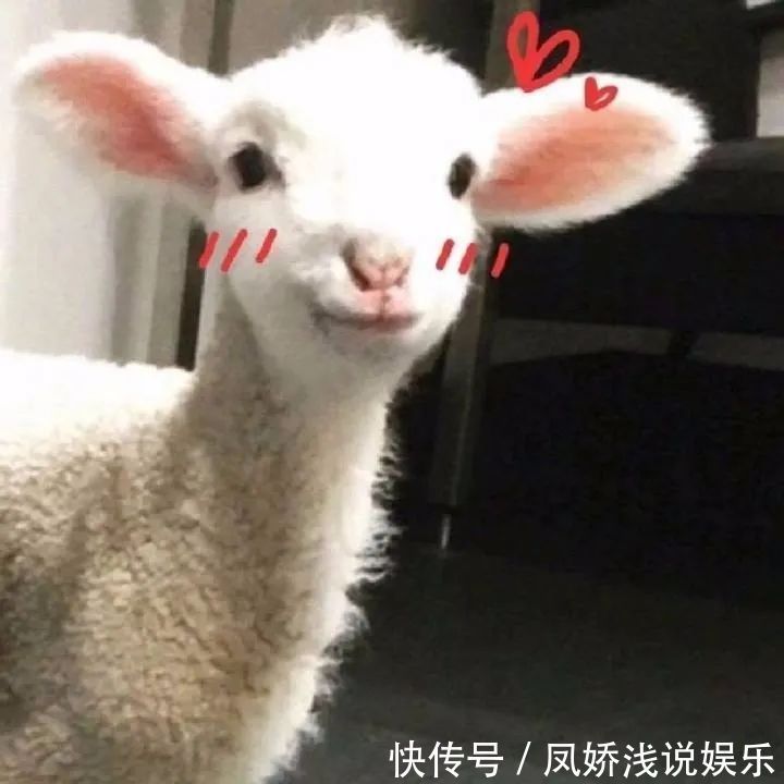 封面|神仙·朋友圈封面丨若似月轮终皎洁,不辞冰雪为卿热