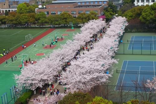 老八校|同为“建筑老八校”，前七已经混成985大学，最后一所连211都不是