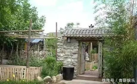 桃花源|20多岁的年龄差距,却把一个破烂的农家小院变成了“桃花源”