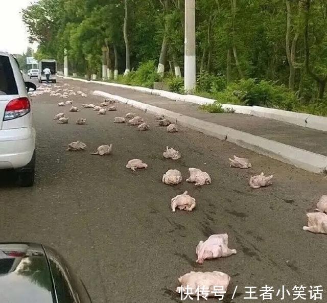 |「被窝段子0925」发脾气 只表示您的智慧不足以解决您所面临的问题