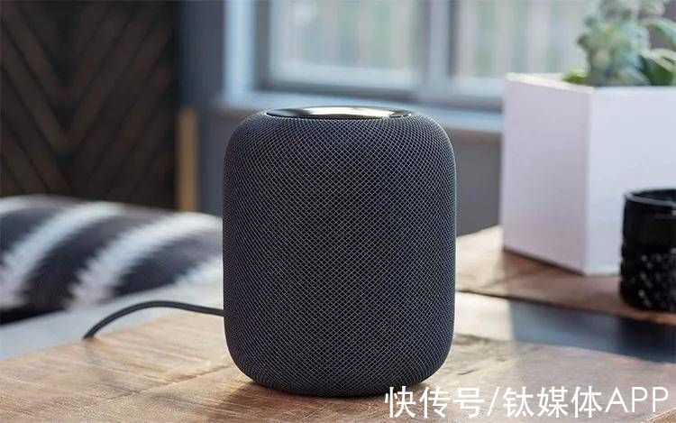 echo|智能音箱走下坡路，该反思什么？