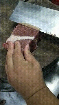 |搞笑GIF:小区楼下的仙人掌成精了,真怕它哪天上天