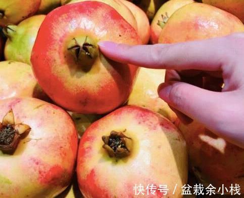 传统|立秋后,“少食1瓜,多吃3果”,老传统别忘记,精神好了睡眠足!