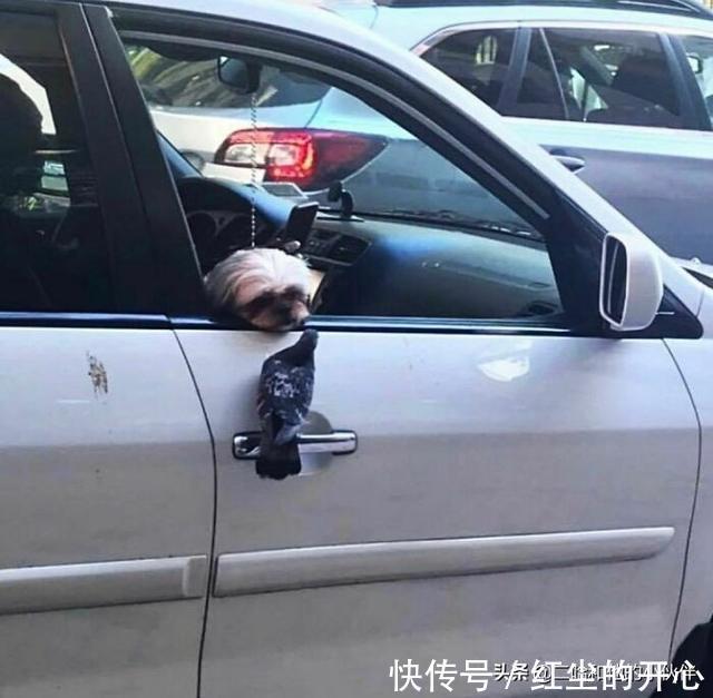 |网友分享的25个奇怪而搞笑的事情,你看过几件?