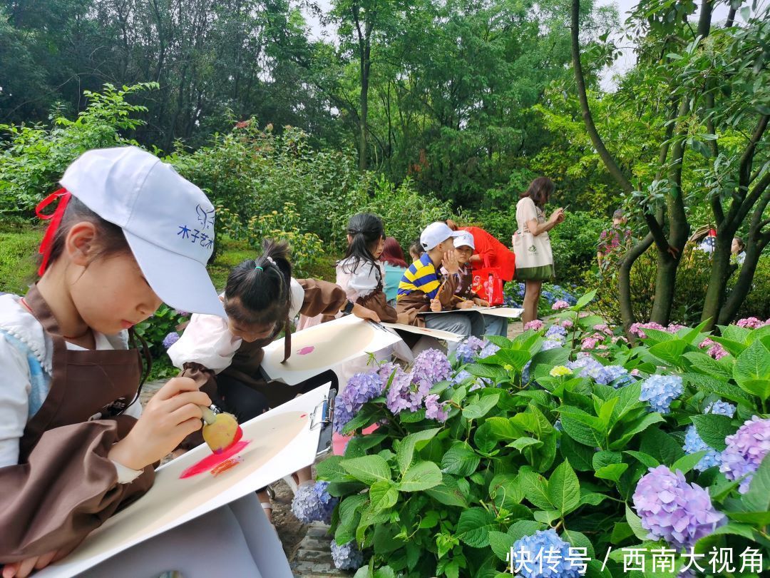 花友会|百颗毳毬谁织就，几枝琼萼露和圆 成都植物园“绣球花花”花友会与园艺爱好者浪漫相约