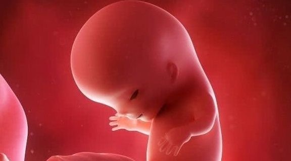 准妈妈|为什么现在“胎停”想象越来越多?也可能是和3个“原因”有关