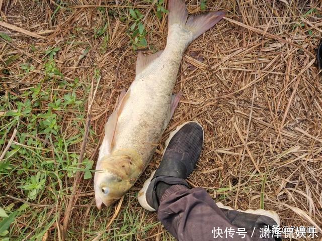 钓鱼时总是挂到鱼鳞?只需简单调整,就能轻松把鱼钓上岸