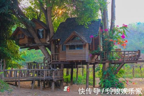 做一枚植物系青年到底有多快乐跟着小编去养养眼吧!