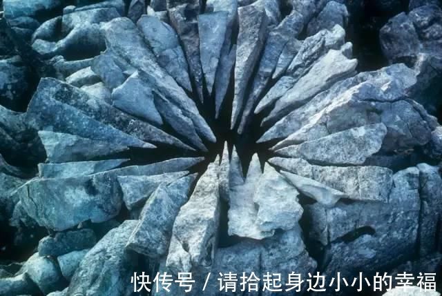 艺术家|他用最简单的树叶、石头、羽毛,建了一座美到极致的自然美术馆