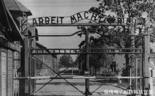 小女孩|德国集中营,小女孩问士兵:能把我埋得浅一点吗?