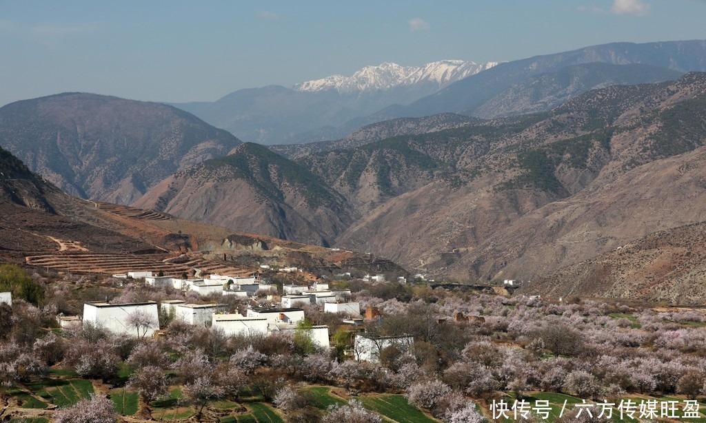 甘孜得荣太阳谷：十里桃花 灼灼其华