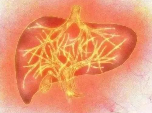 肝火旺盛|经常失眠是肝火过旺所致?建议:牢记“3不2要”,或降肝火调睡眠