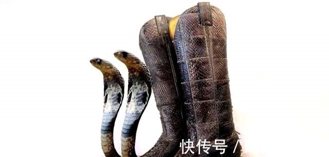 鹅妈妈的故事 全网最奇葩的鞋子大盘点,一般人驾驭不了