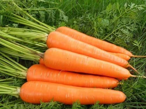 排毒养颜|想长寿全靠吃,4种食物不能少,排毒养颜,早吃早受益