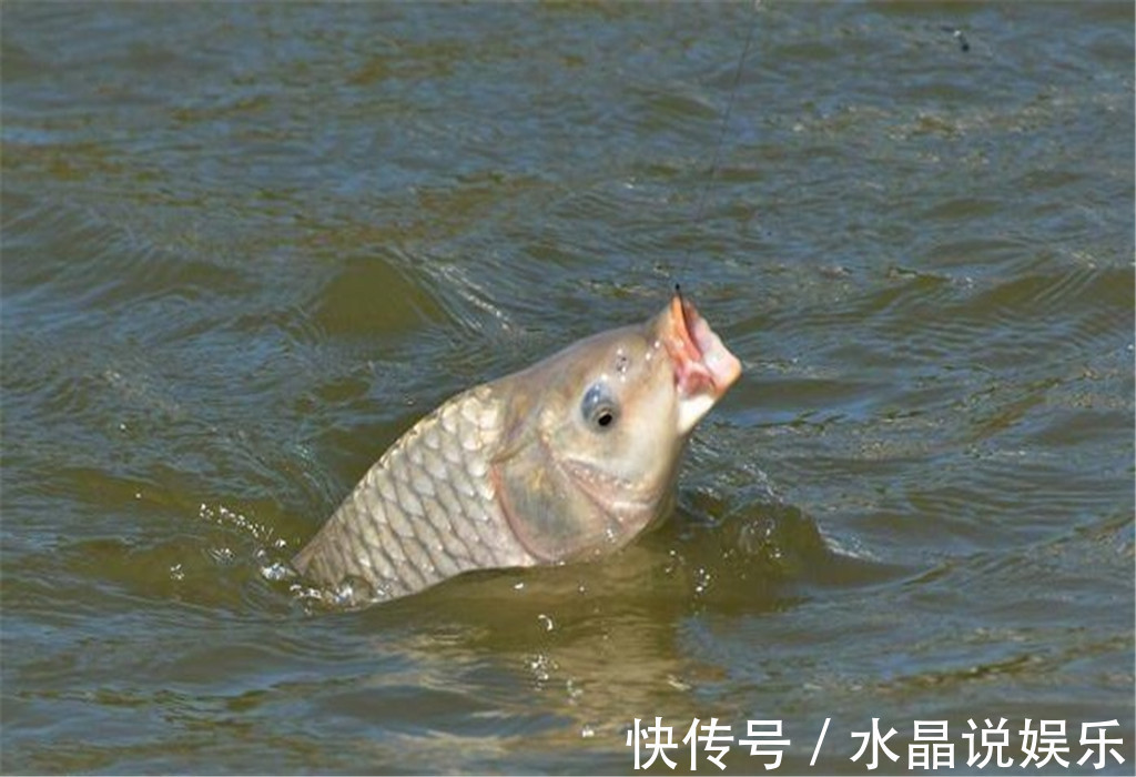 挤压处|怎样辨别鱼线的好坏老钓友教你几招,别再傻傻的被渔具老板骗了