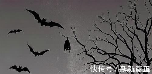 灵异|老书迷力荐五本灵异小说,本本都是良心巨作,一定不要错过!